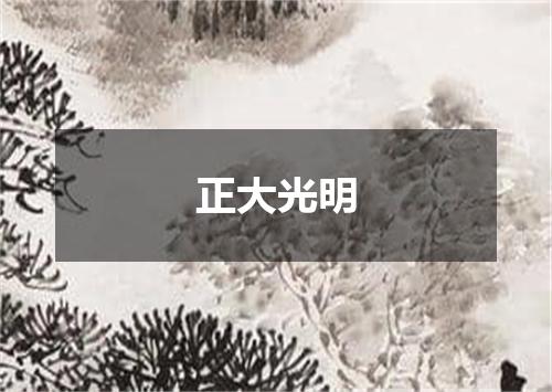 正大光明