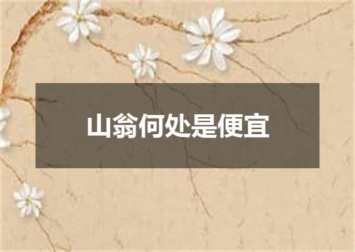 山翁何处是便宜