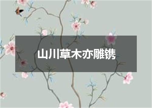 山川草木亦雕镌