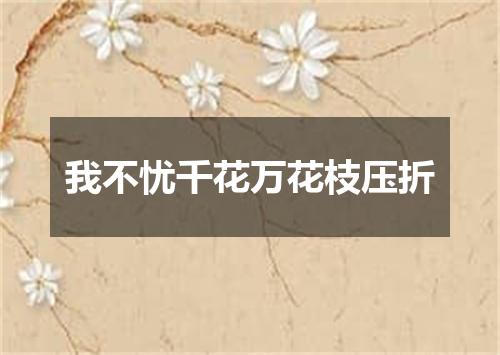 我不忧千花万花枝压折