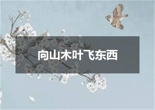向山木叶飞东西