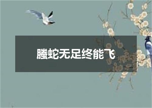 螣蛇无足终能飞