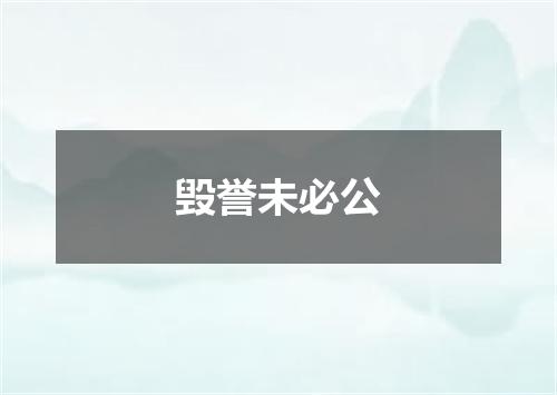 毁誉未必公