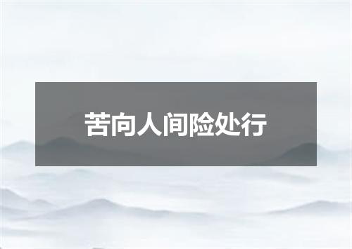 苦向人间险处行