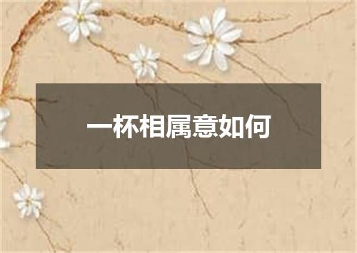 一杯相属意如何