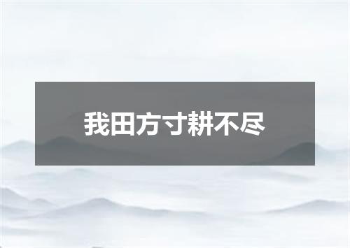 我田方寸耕不尽