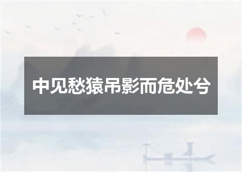 中见愁猿吊影而危处兮