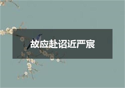 故应赴诏近严宸