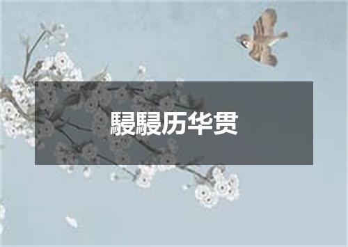 駸駸历华贯