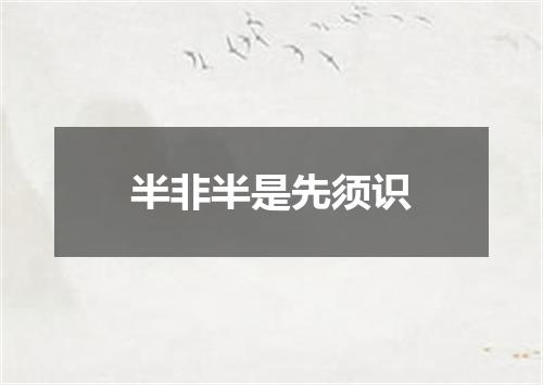 半非半是先须识