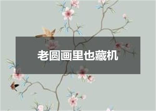 老圆画里也藏机