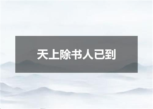 天上除书人已到