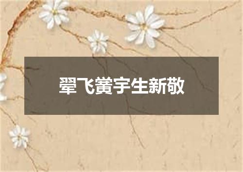 翚飞黉宇生新敬
