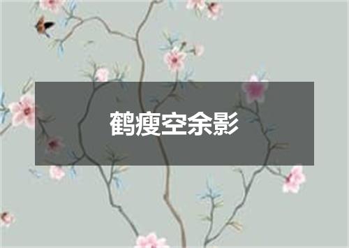 鹤瘦空余影