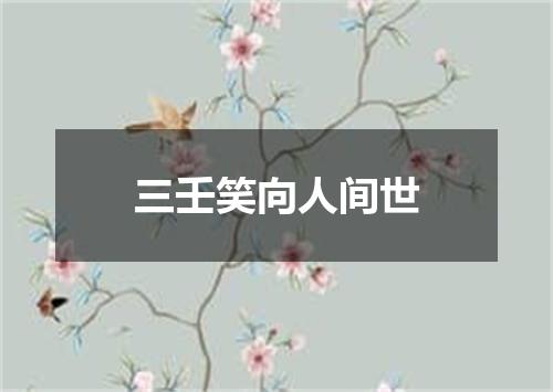 三壬笑向人间世
