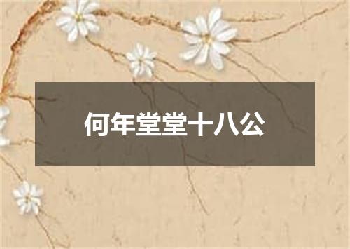 何年堂堂十八公