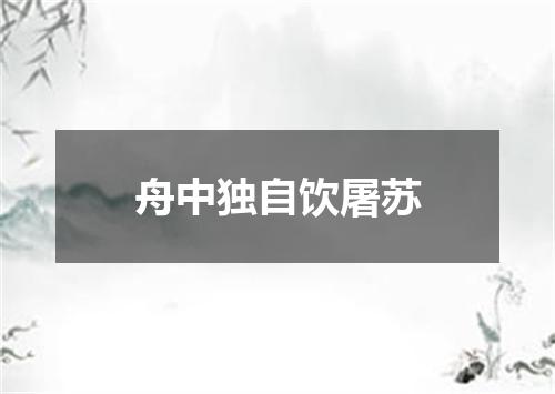 舟中独自饮屠苏
