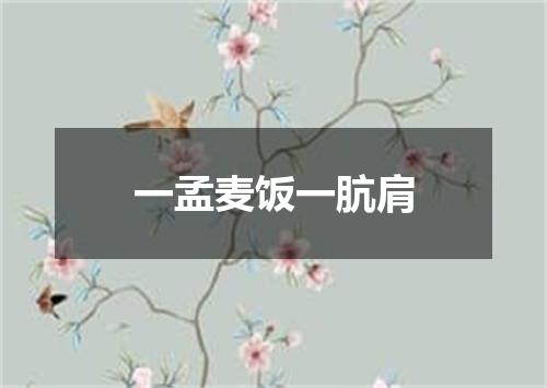 一孟麦饭一肮肩