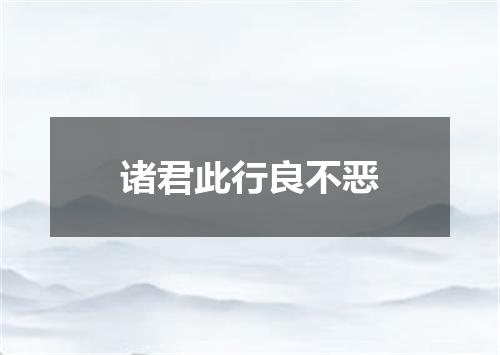 诸君此行良不恶