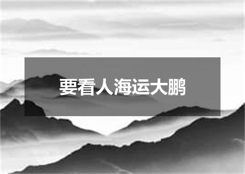 要看人海运大鹏