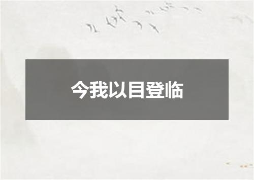 今我以目登临