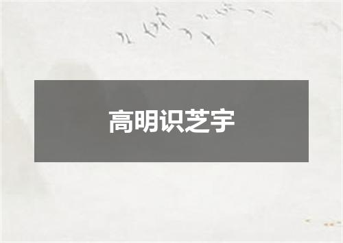 高明识芝宇