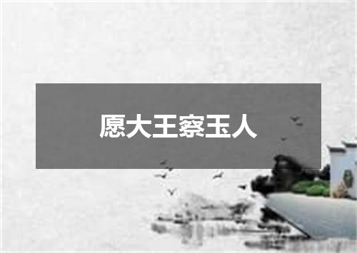 愿大王察玉人