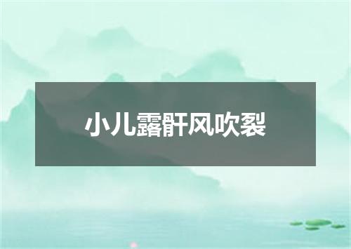 小儿露骭风吹裂