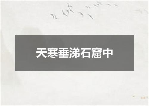 天寒垂涕石窟中