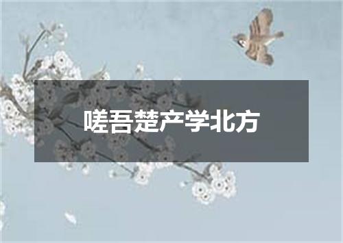 嗟吾楚产学北方
