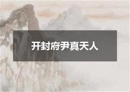 开封府尹真天人