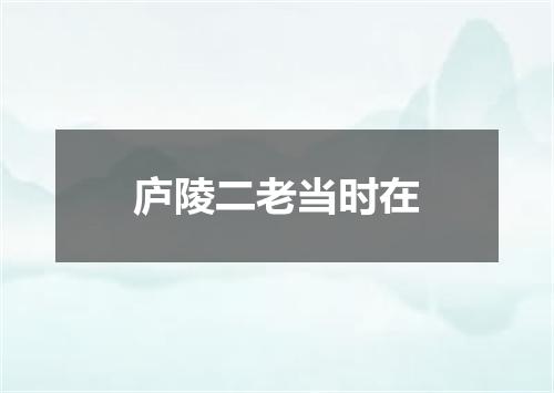 庐陵二老当时在