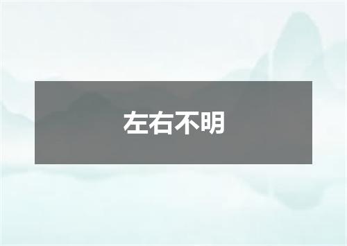 左右不明