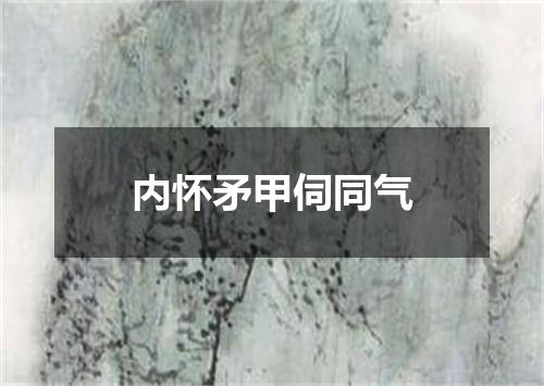 内怀矛甲伺同气