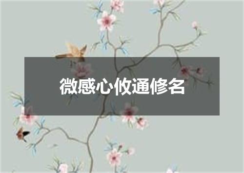 微感心攸通修名