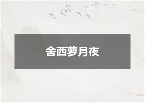 舍西萝月夜