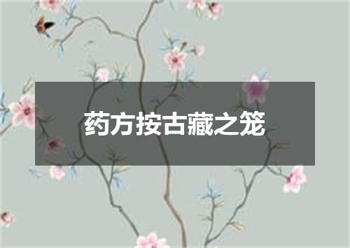 药方按古藏之笼