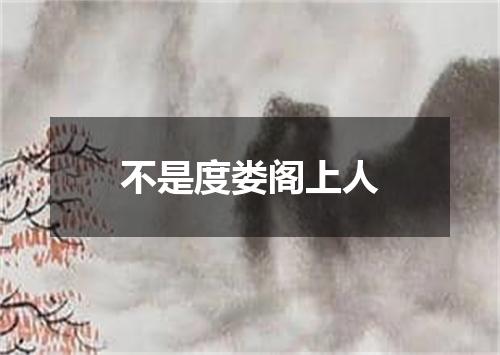 不是度娄阁上人
