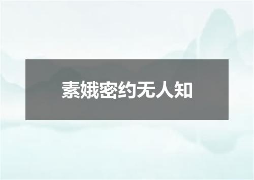 素娥密约无人知
