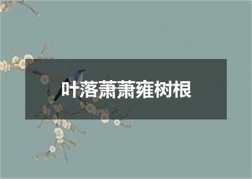 叶落萧萧雍树根