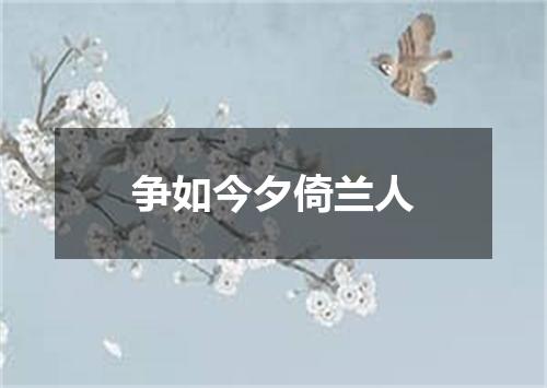 争如今夕倚兰人