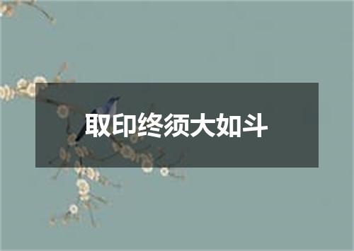 取印终须大如斗