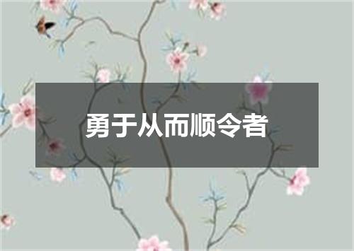 勇于从而顺令者