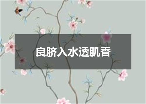 良脐入水透肌香