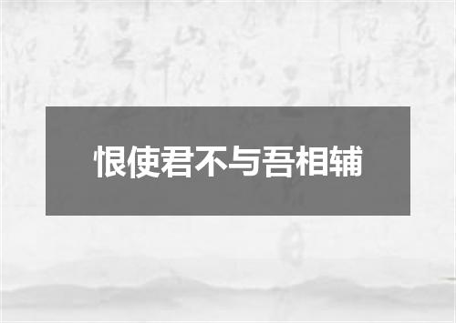 恨使君不与吾相辅