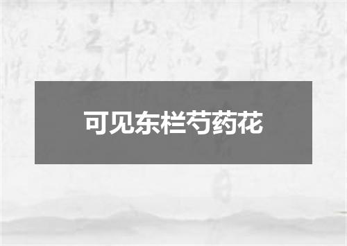 可见东栏芍药花