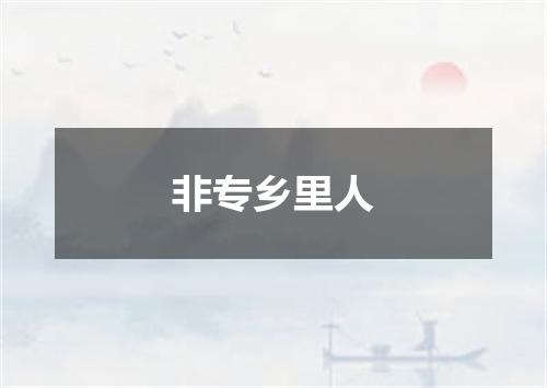 非专乡里人