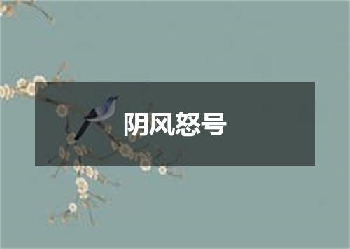 阴风怒号