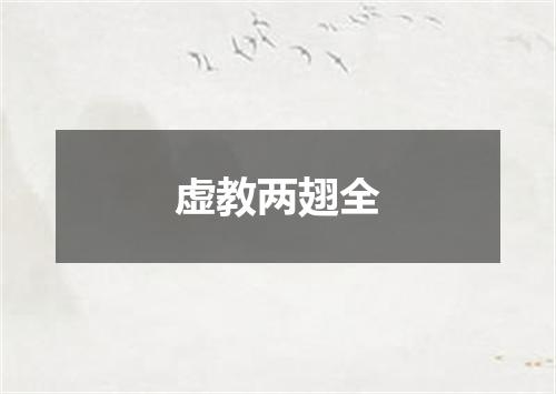 虚教两翅全