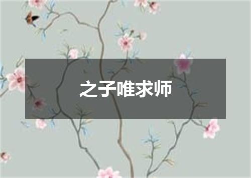 之子唯求师